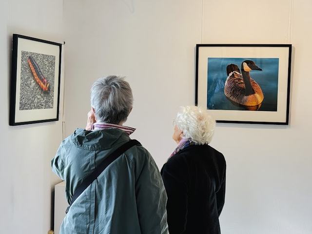 Life Reflected vernissage